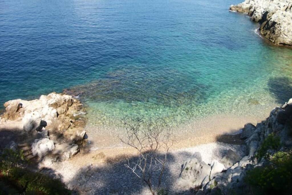 Coeur De Juan, Calme, 300M Plages - Easy Check-In Αντίμπ Εξωτερικό φωτογραφία